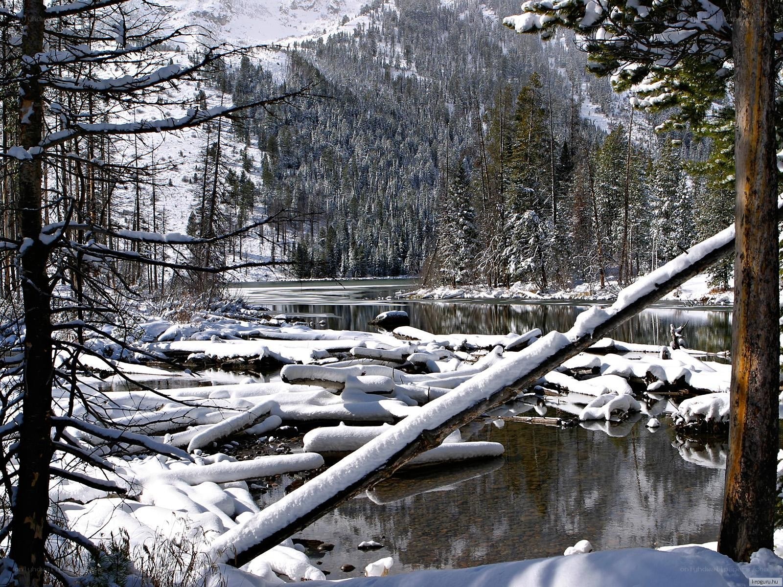 Snowy forest lake scene
