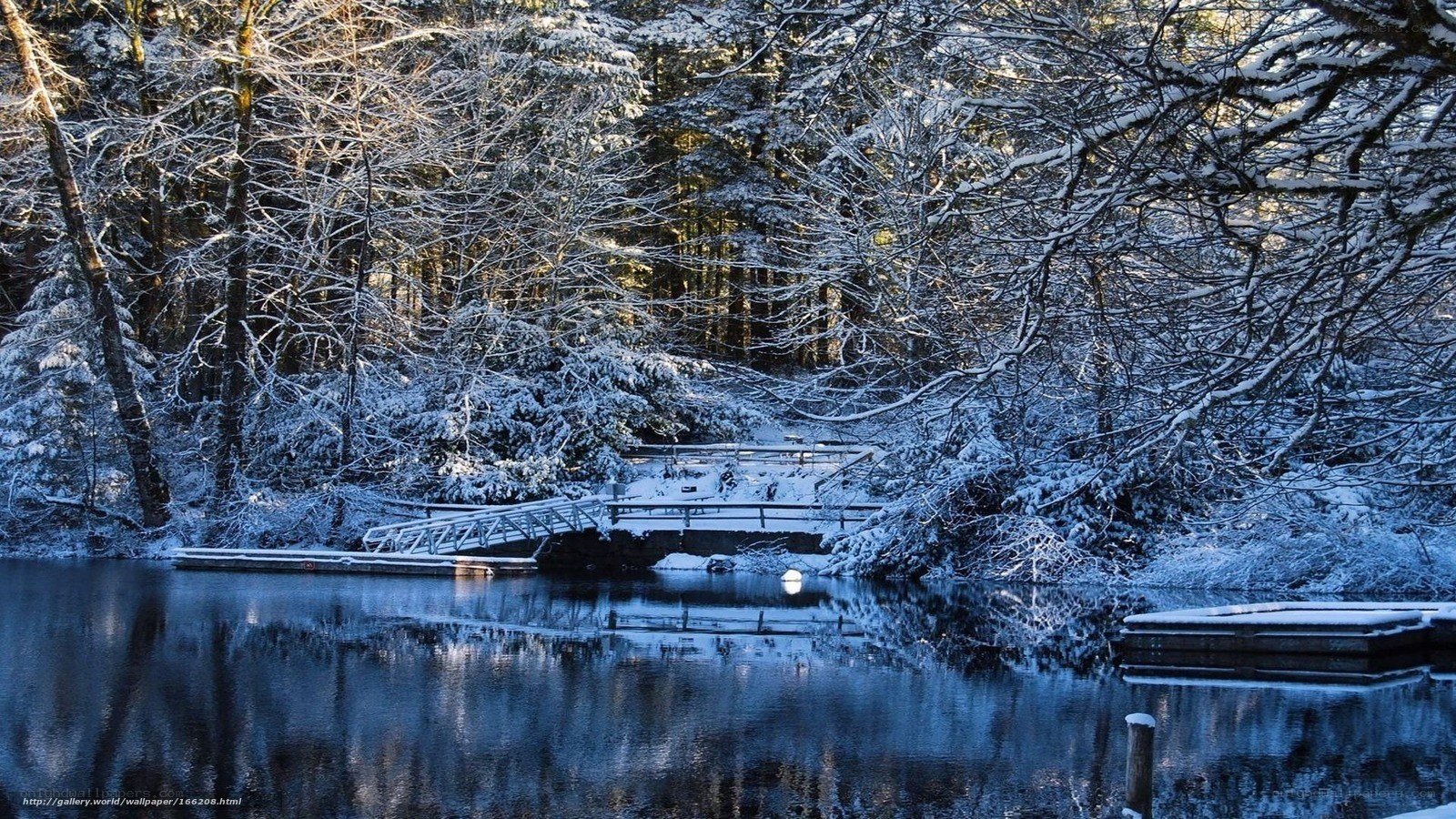 Snowy forest lake scene