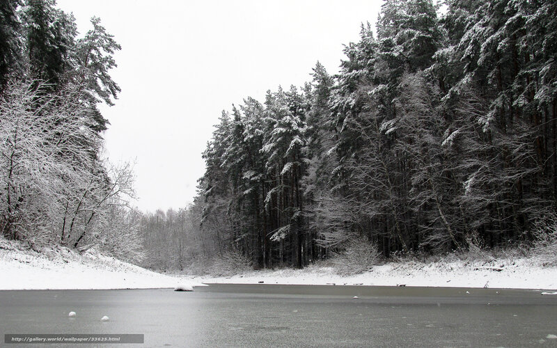 snowy forest lake