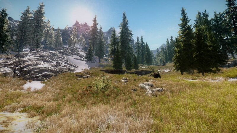 snowy forest landscape