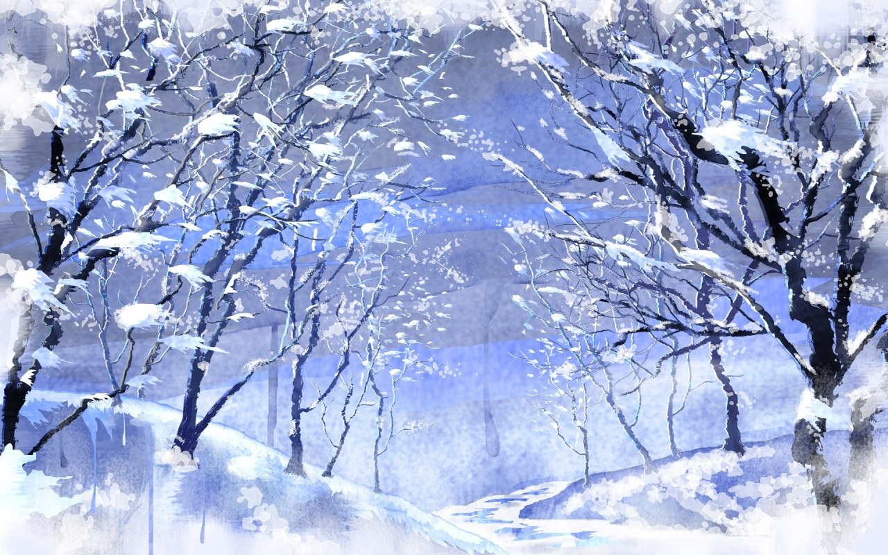 Snowy forest landscape
