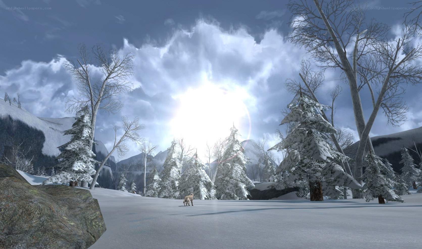 snowy forest landscape