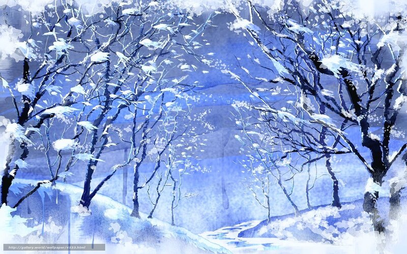 Snowy forest landscape