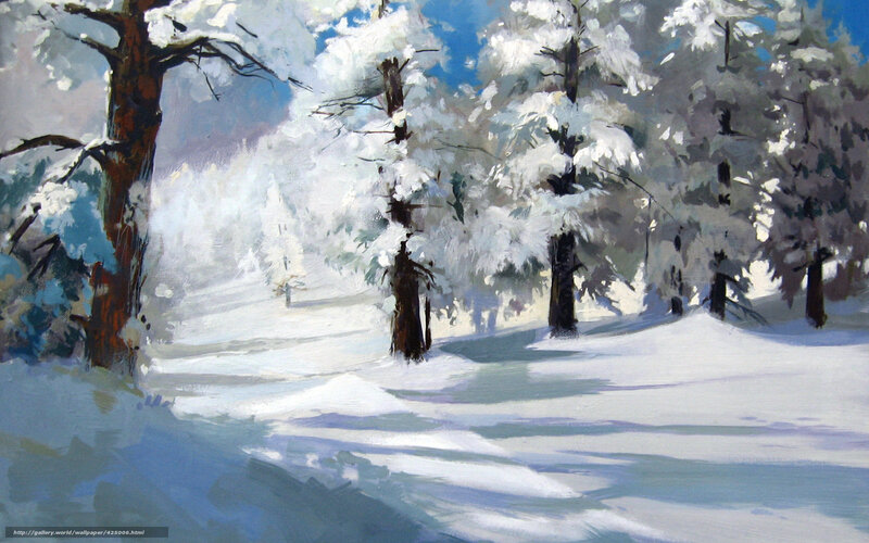 Snowy forest landscape