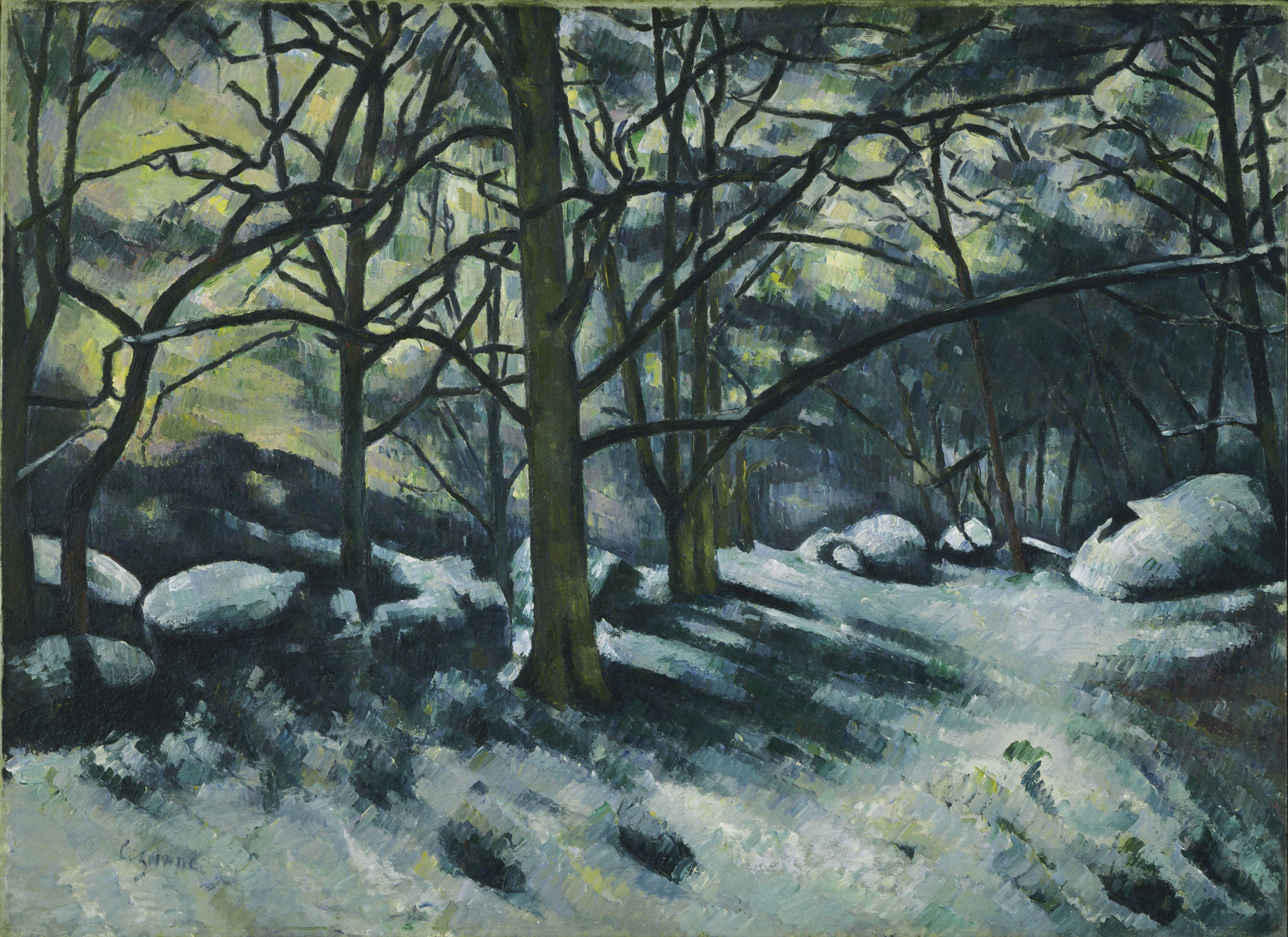 Snowy Forest Landscape