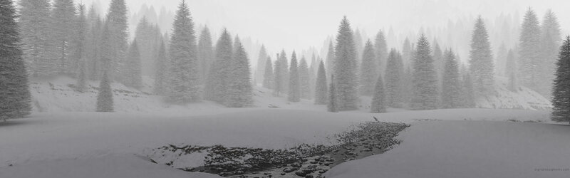 snowy forest landscape
