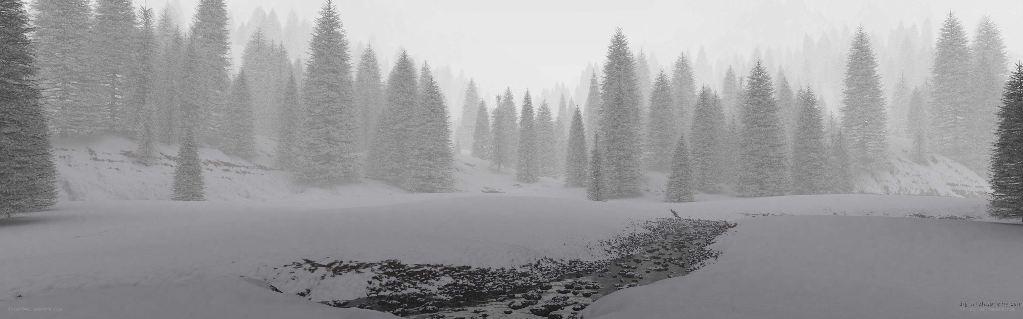 snowy forest landscape