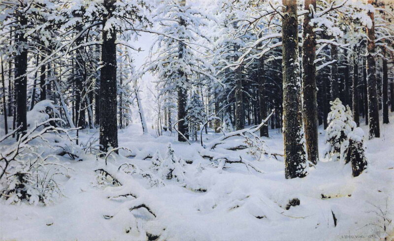 Snowy forest landscape