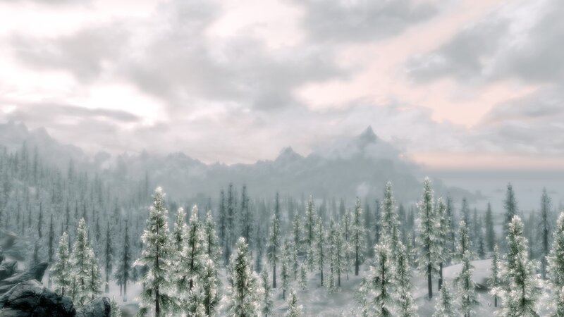 snowy forest landscape