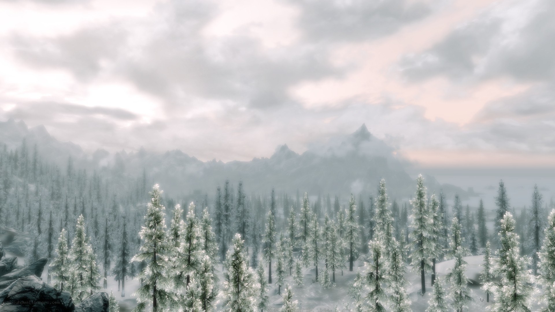snowy forest landscape