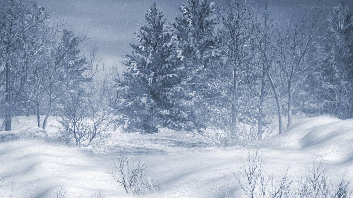 Snowy forest landscape