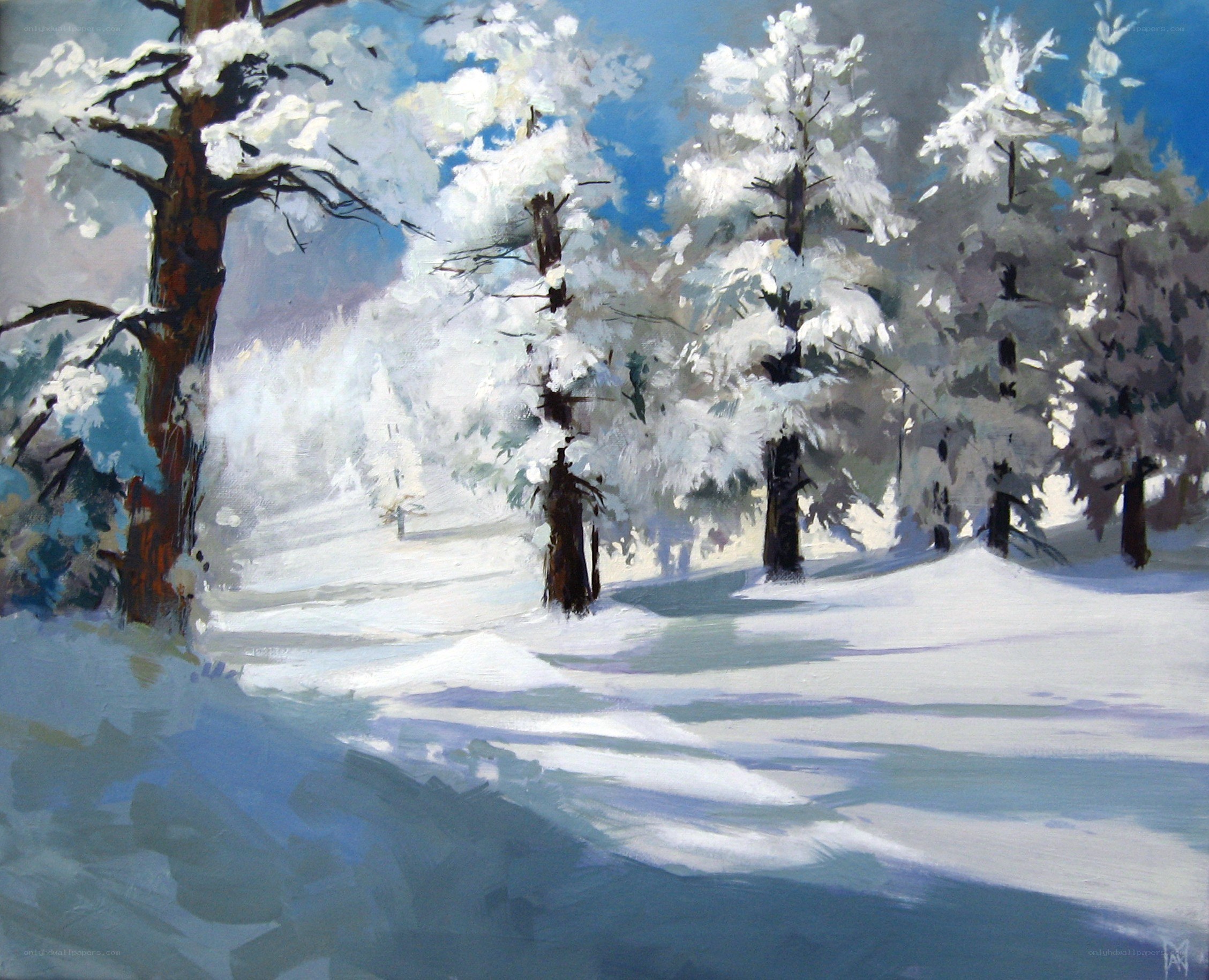 Snowy forest landscape
