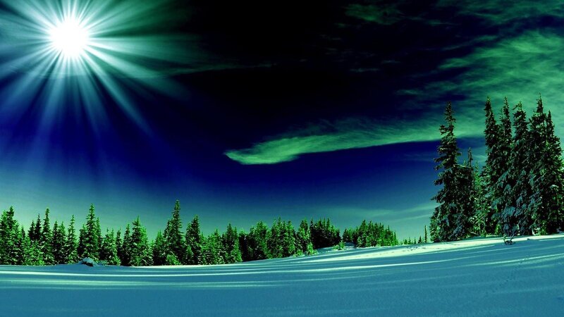 Snowy Forest Landscape — Blue, Dramatic