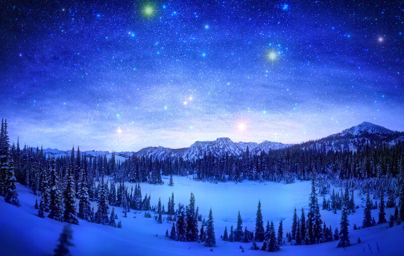 Snowy Forest Landscape — Blue, Serene, Night, Digital Art