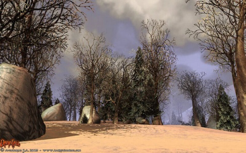 Snowy Forest Landscape — Brown