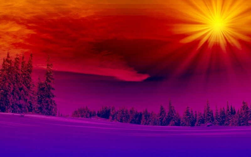 Snowy Forest Landscape — Red, Dramatic