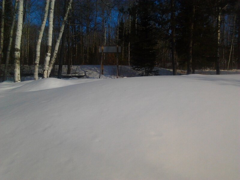 Snowy Forest Landscape — White, Serene