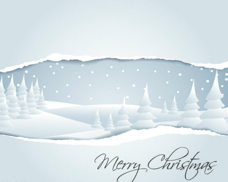 Snowy Forest Landscape — White, Serene, Winter
