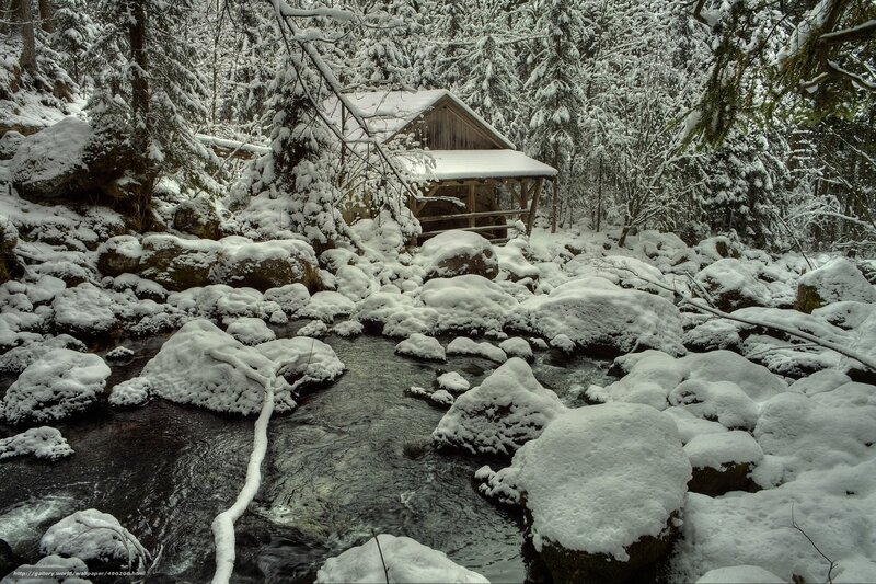 Snowy forest mill
