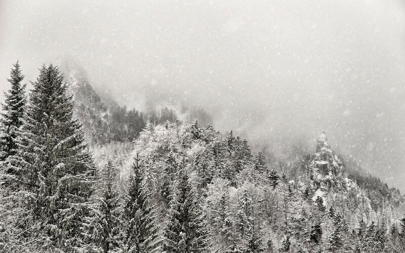 Snowy forest mountain scene