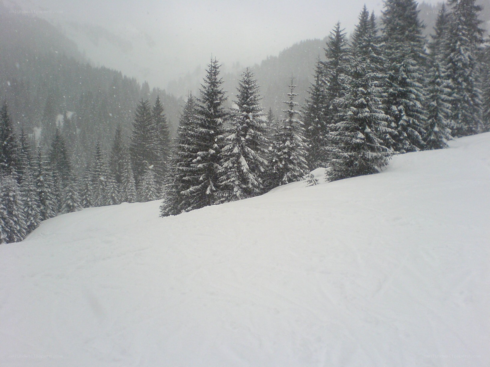 snowy forest mountain scene