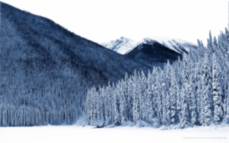 snowy forest mountains