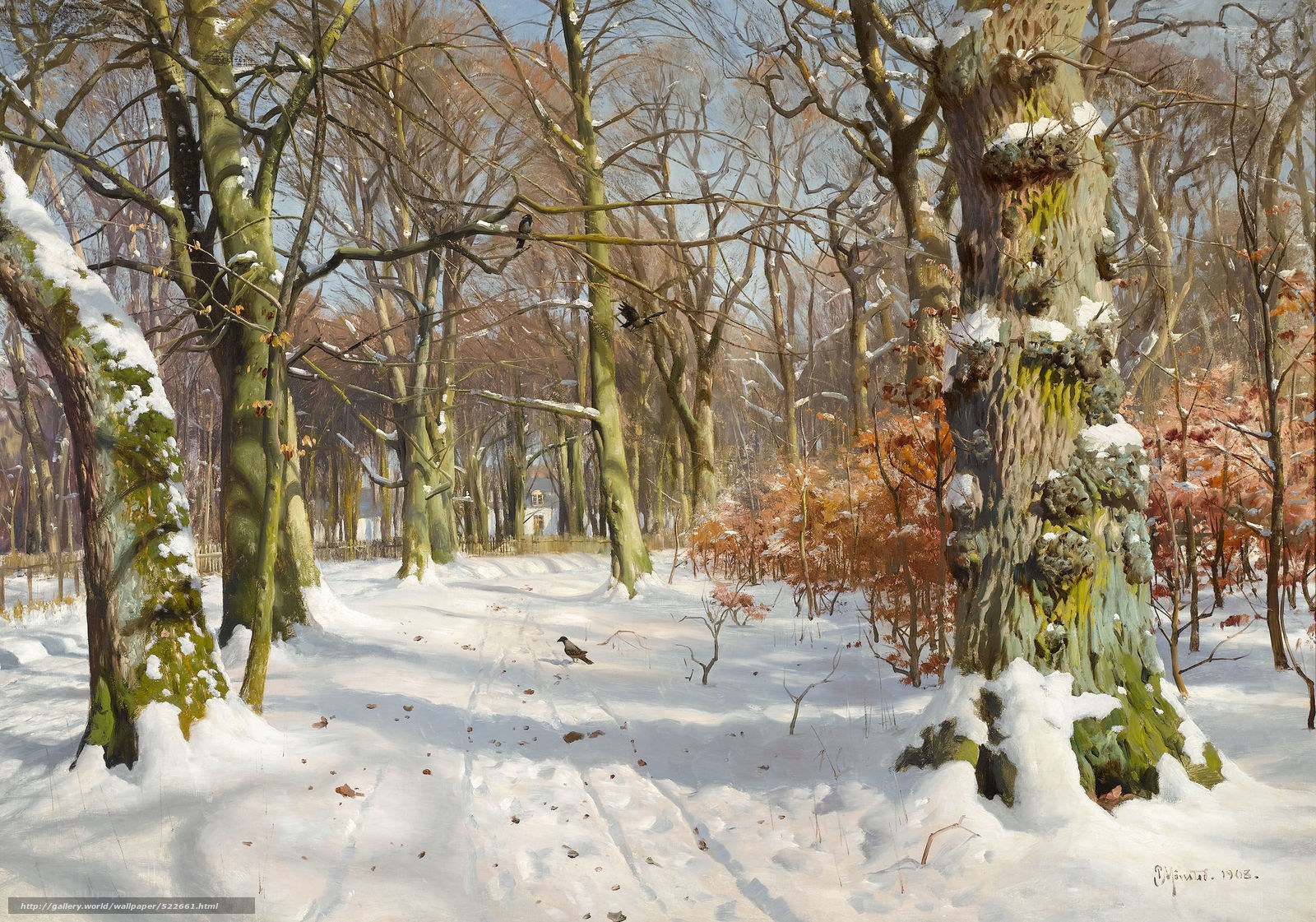 Snowy Forest Path