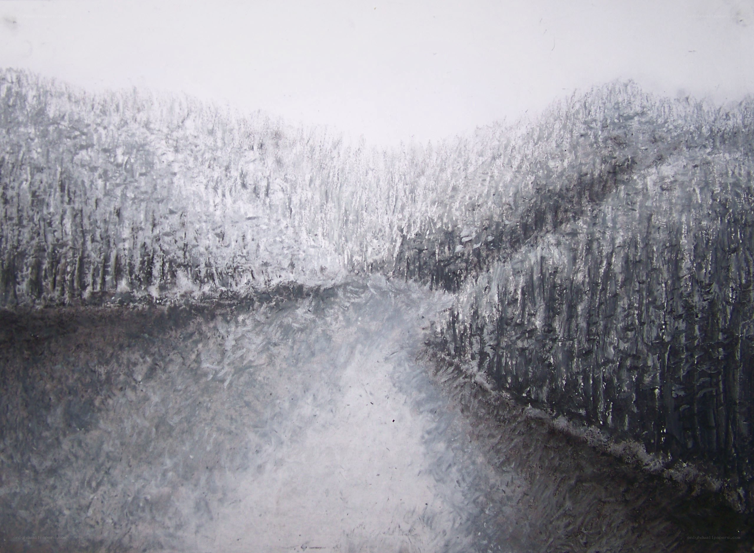 snowy forest path