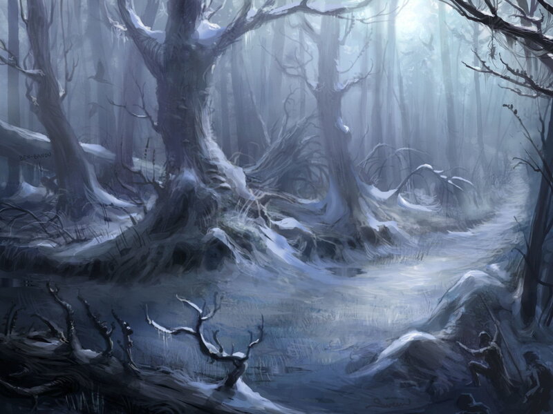 snowy forest path