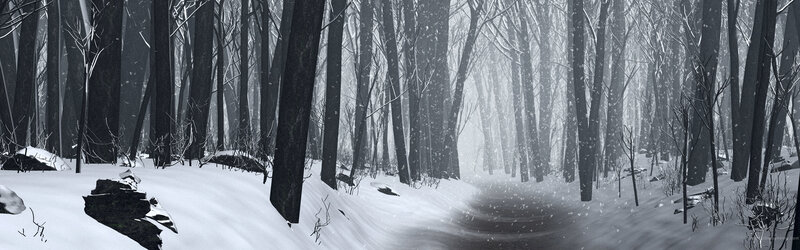snowy forest path