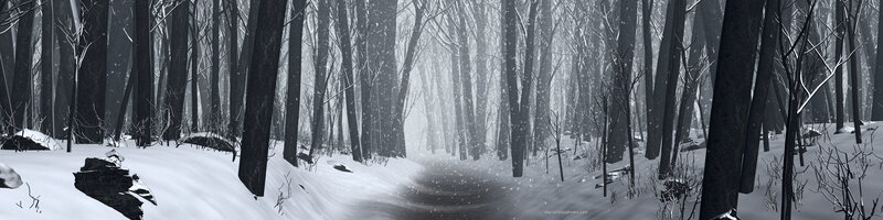 snowy forest path