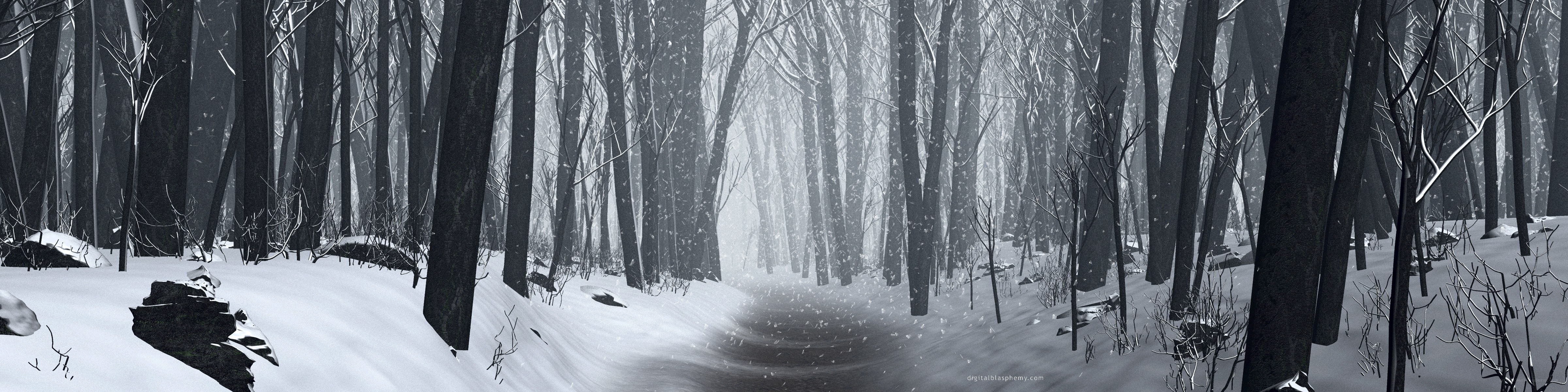snowy forest path