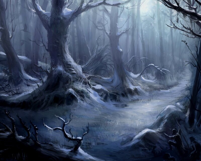 snowy forest path