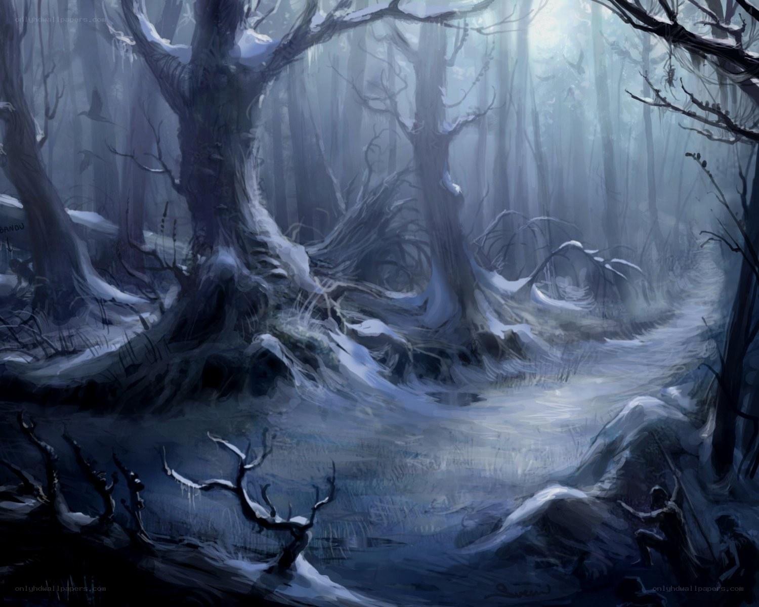 snowy forest path