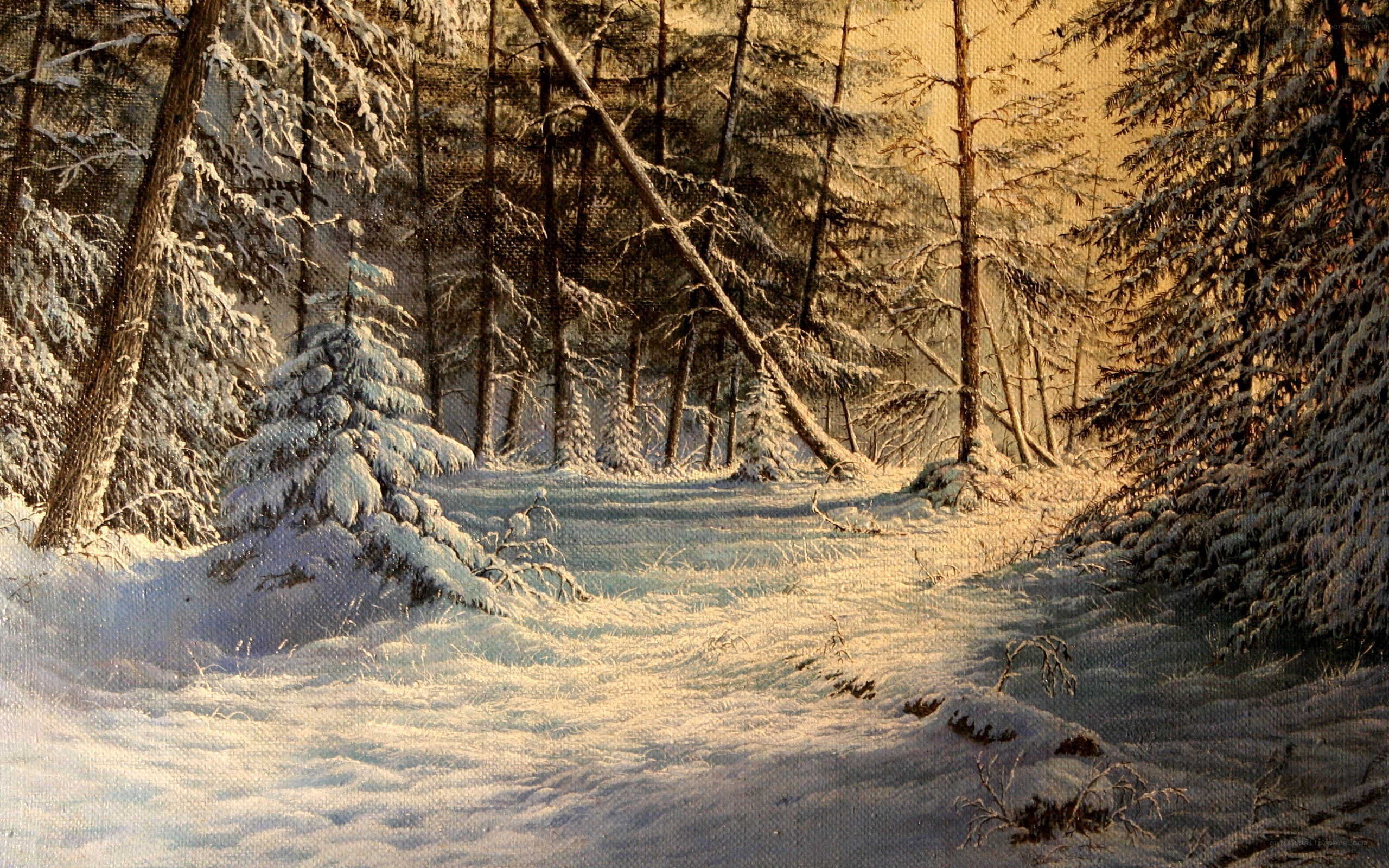 Snowy forest path
