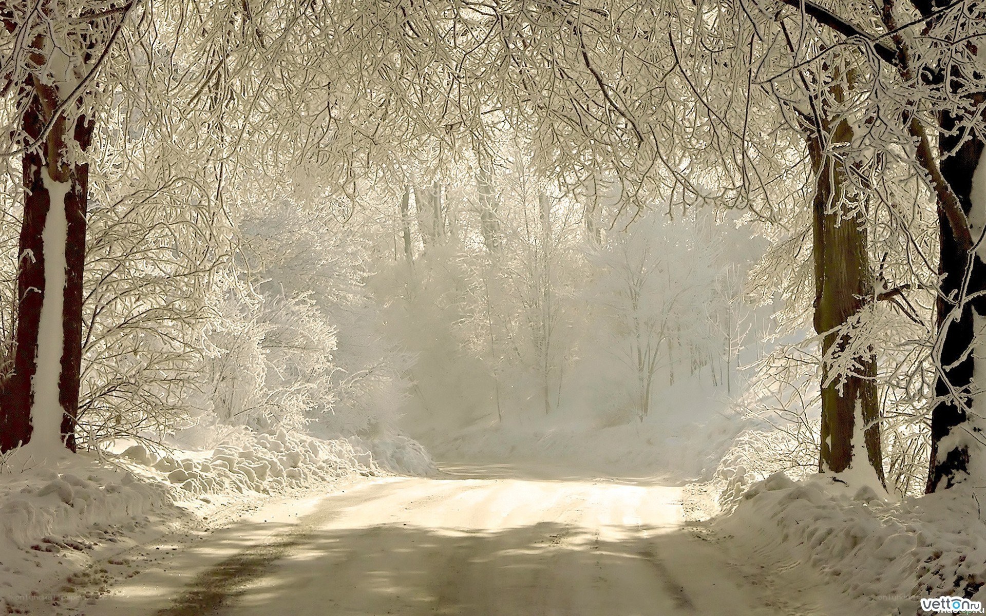 Snowy forest path