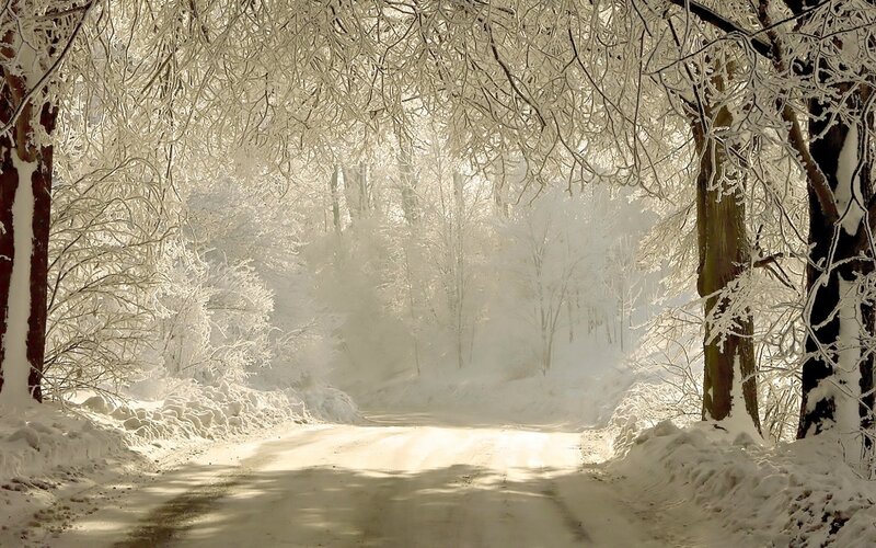 Snowy forest path