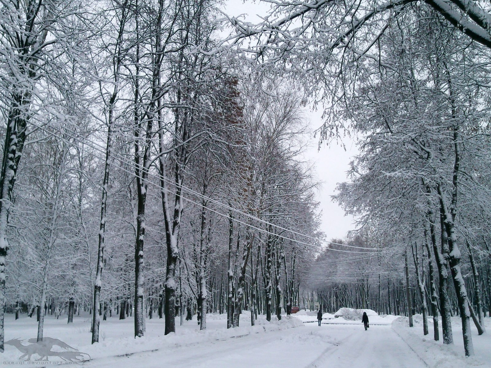 Snowy forest path