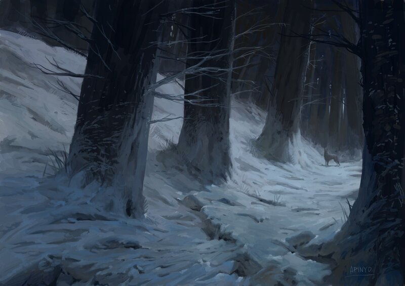 Snowy forest path