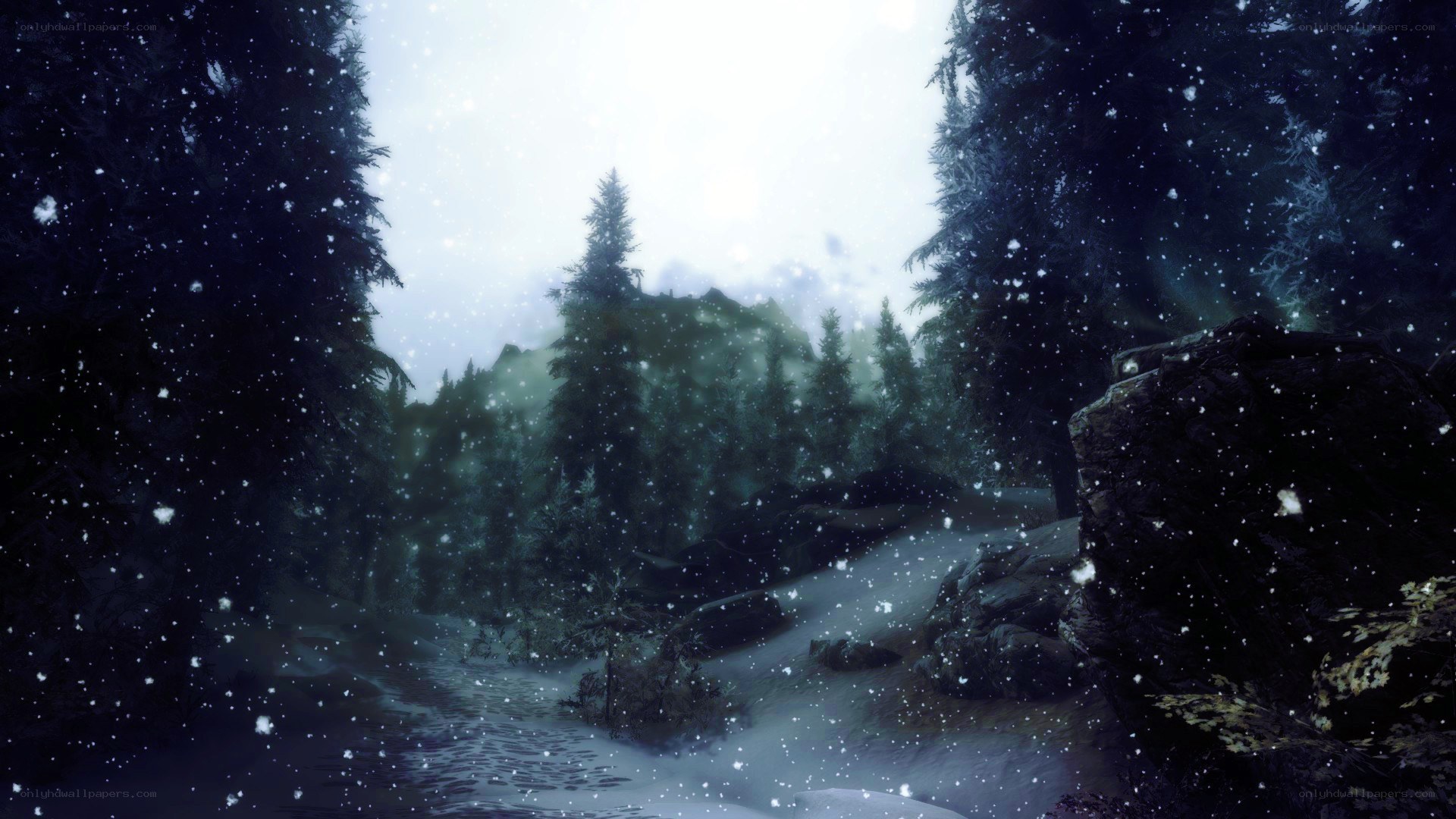 snowy forest path