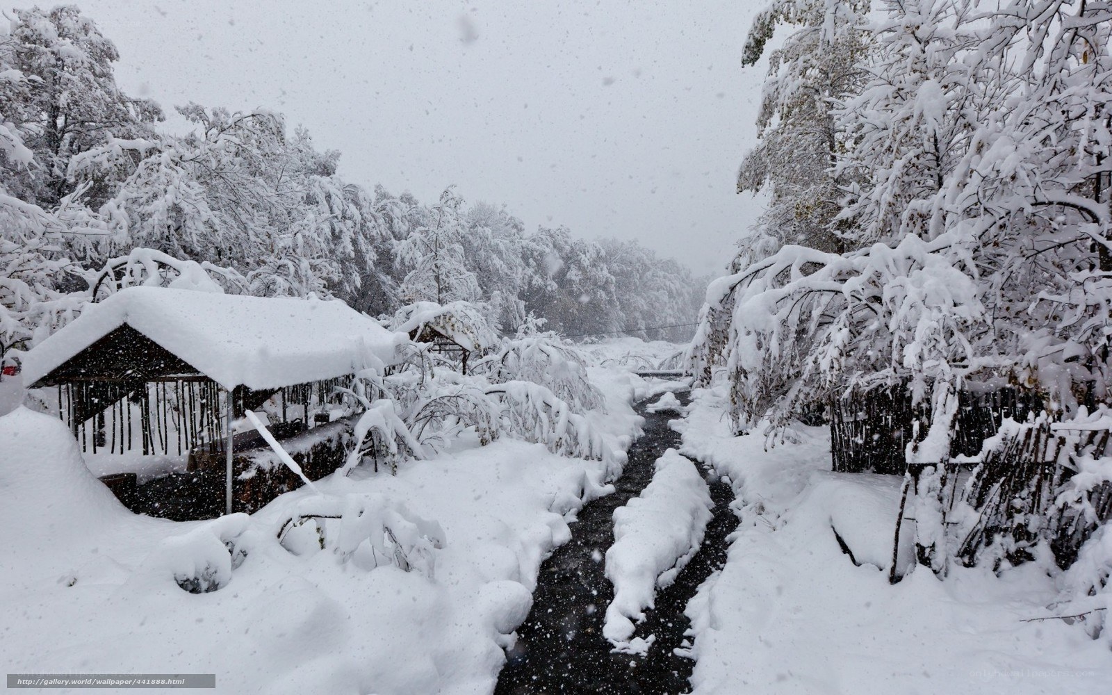 Snowy forest path