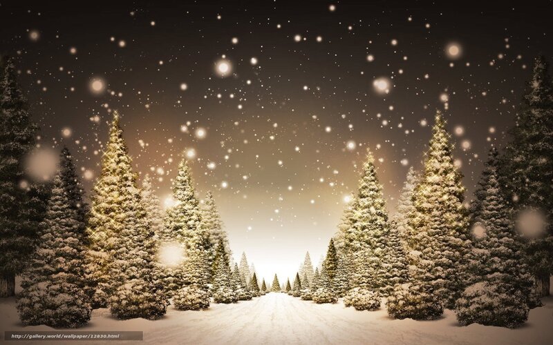 Snowy forest path at night