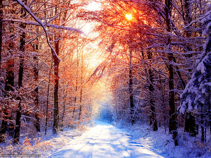 Snowy forest path at sunrise