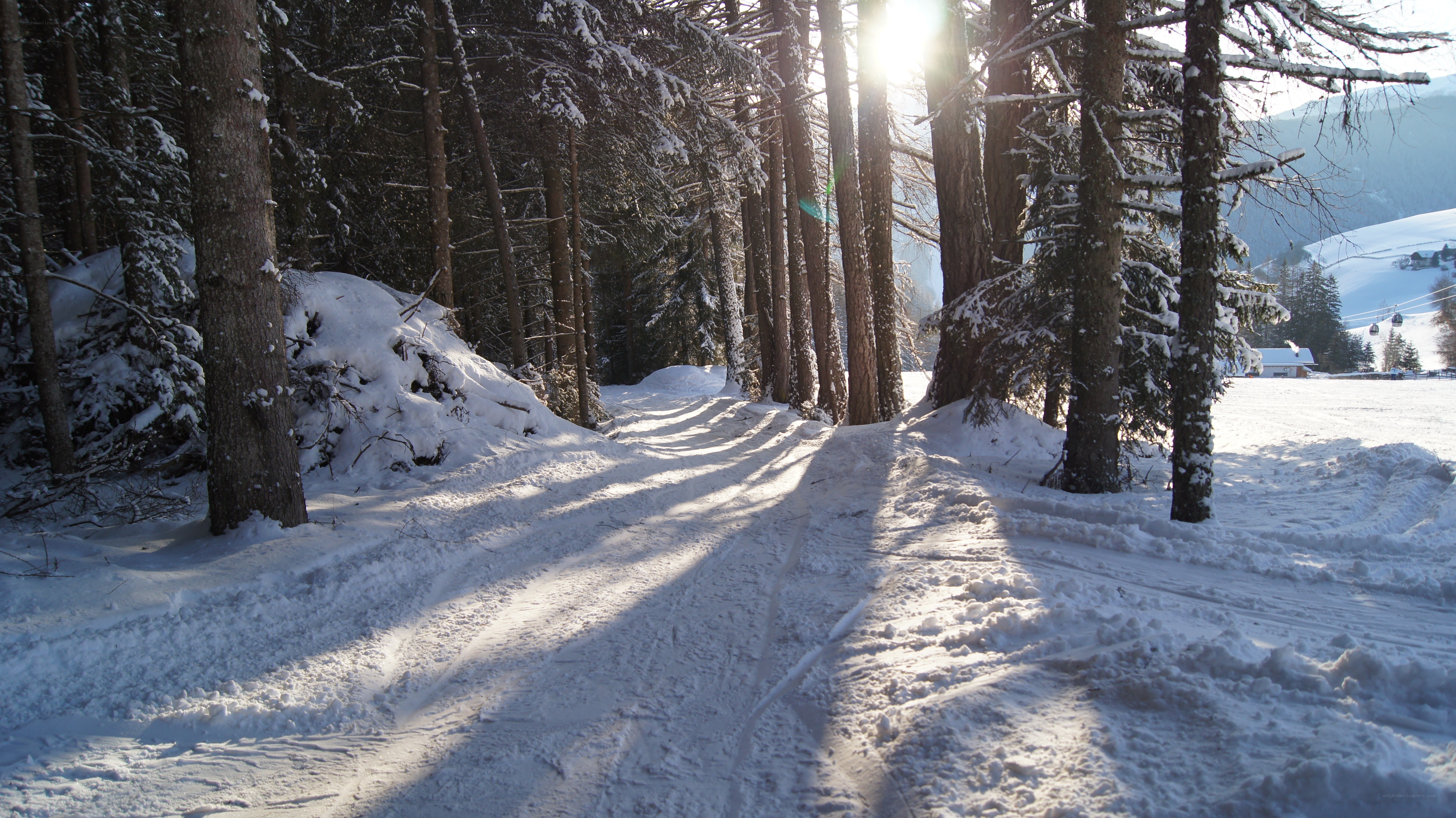 Snowy forest path at sunrise