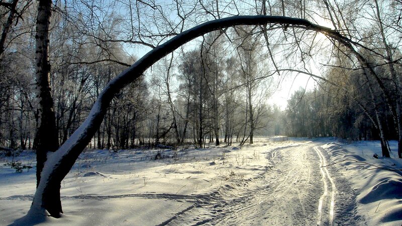 Snowy forest path at sunrise