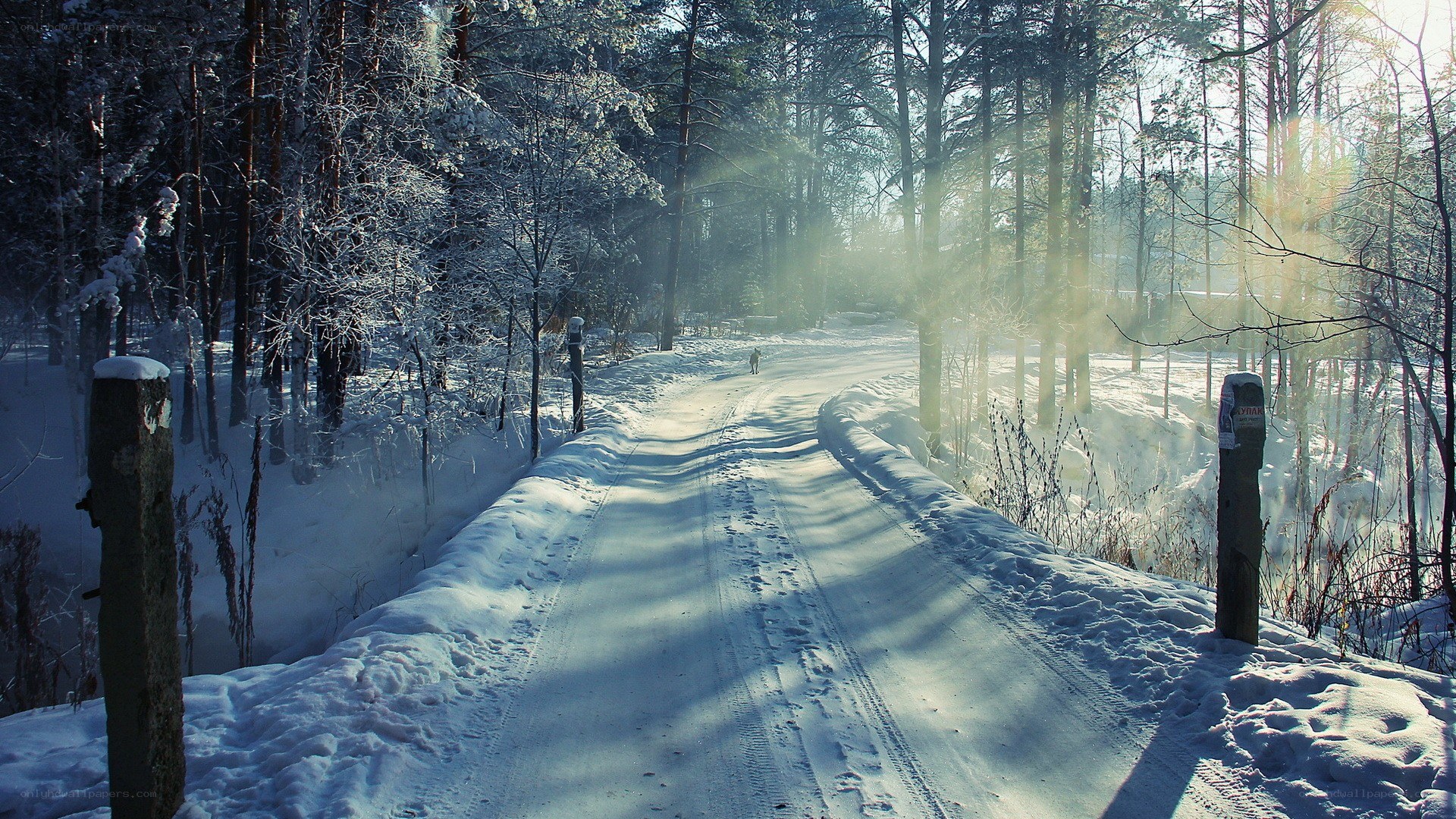 Snowy forest path at sunrise