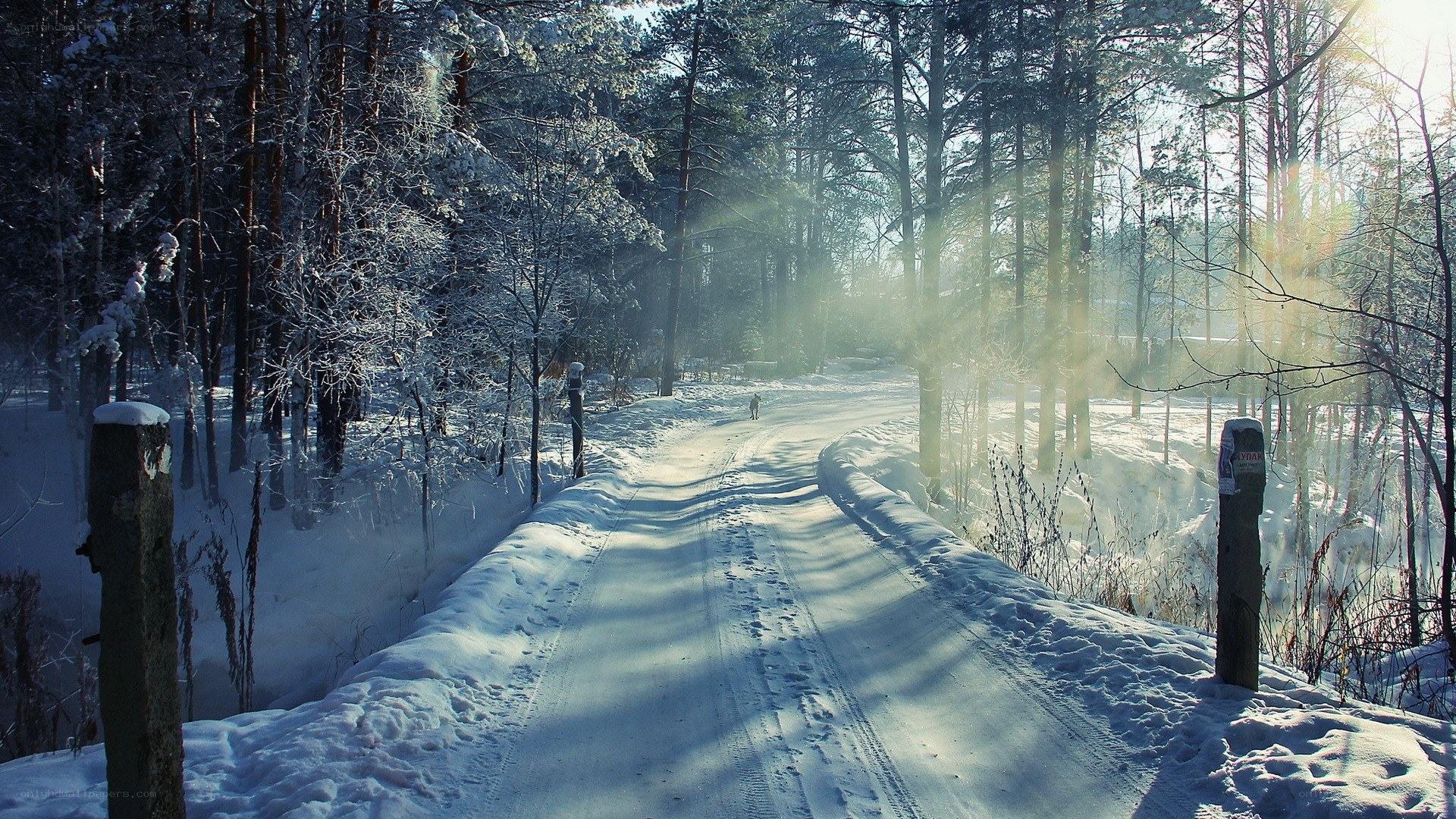 Snowy forest path at sunrise