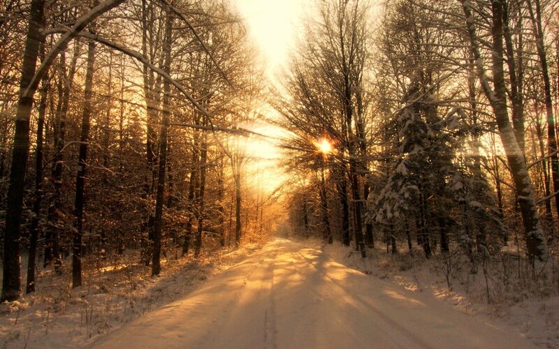 Snowy forest path at sunset