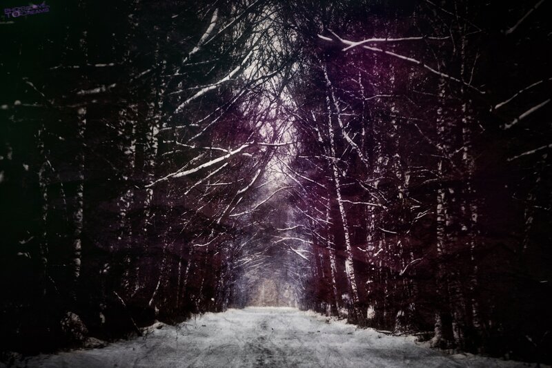 Snowy Forest Path — Black, Dark