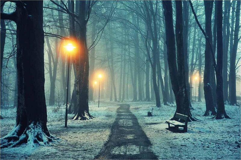 Snowy Forest Path — Blue, Misty